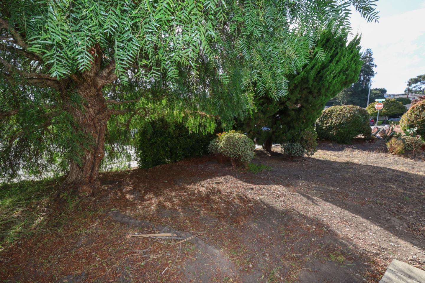 106 Mesa LN, SantaCruz, CA 95060, Photo 6