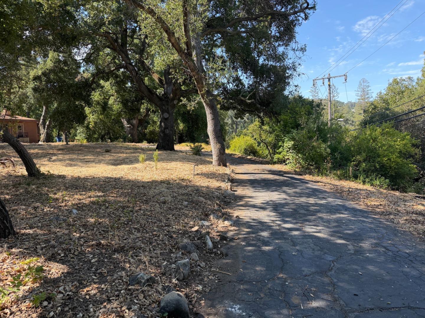 110 Johnson (Lot 1) AVE, LosGatos_1, CA 95030, Photo 6