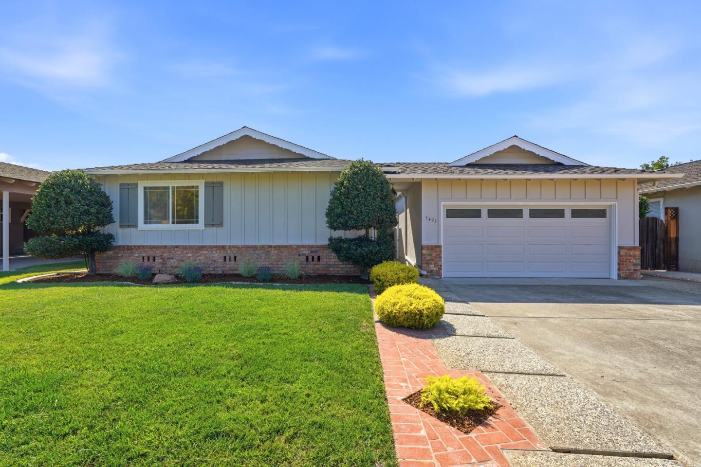 Fern DR