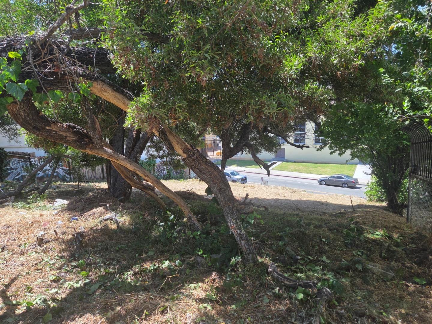 2120 35th AVE, Oakland, CA 94601, Photo 2