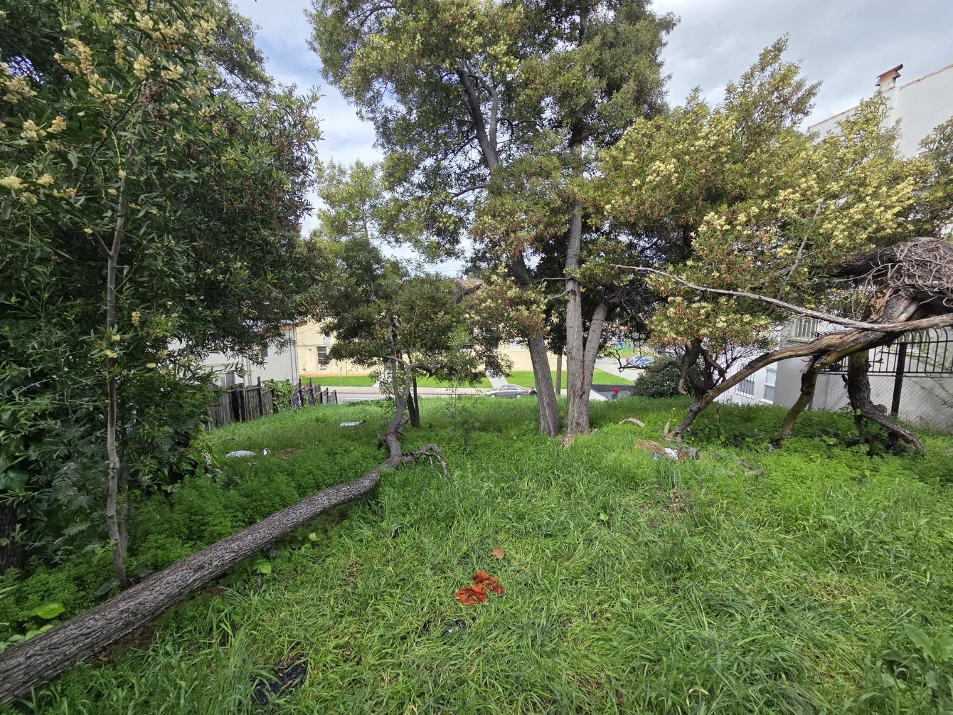2120 35th AVE, Oakland, CA 94601, Photo 4