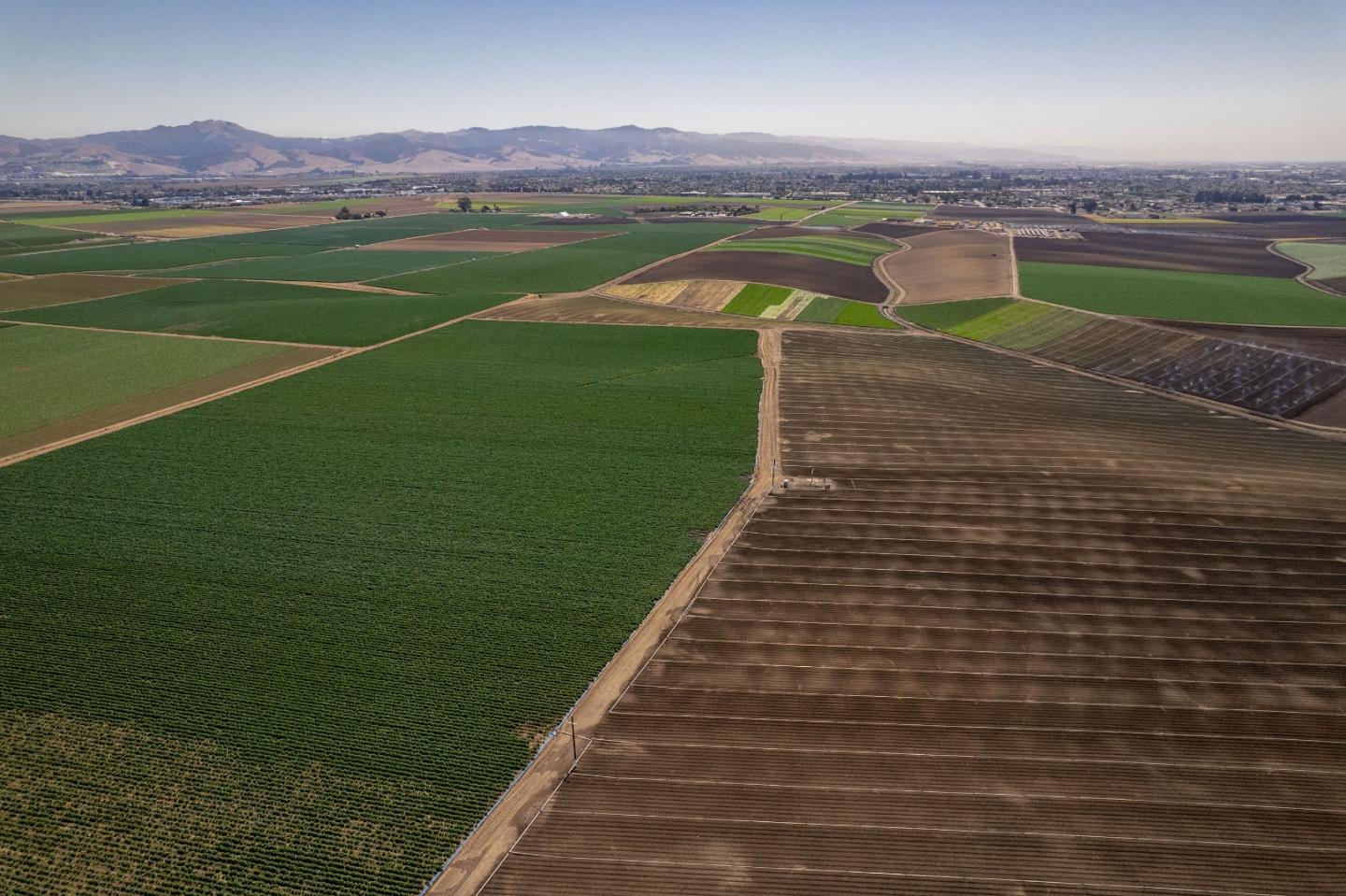 San Jon RD, Salinas, CA 93907, Photo 7