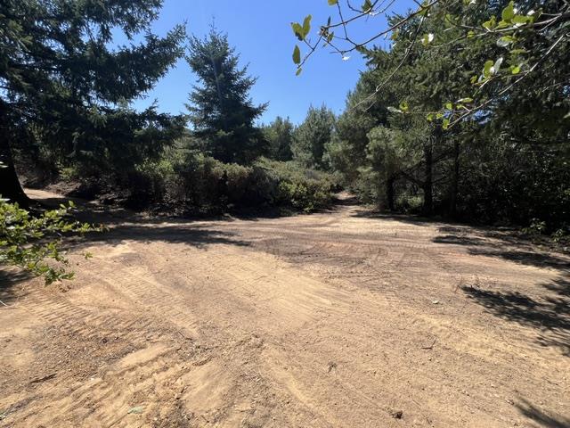 36000 Mt Madonna RD, MorganHill, CA 95037, Photo 4