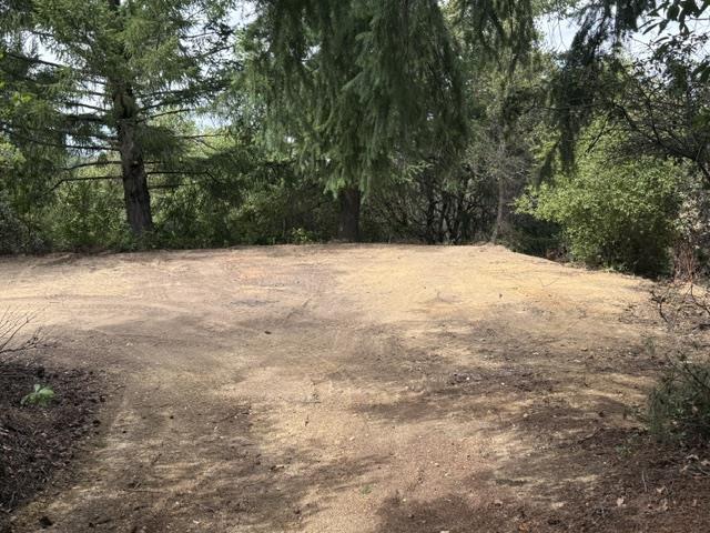 36000 Mt Madonna RD, MorganHill, CA 95037, Photo 6