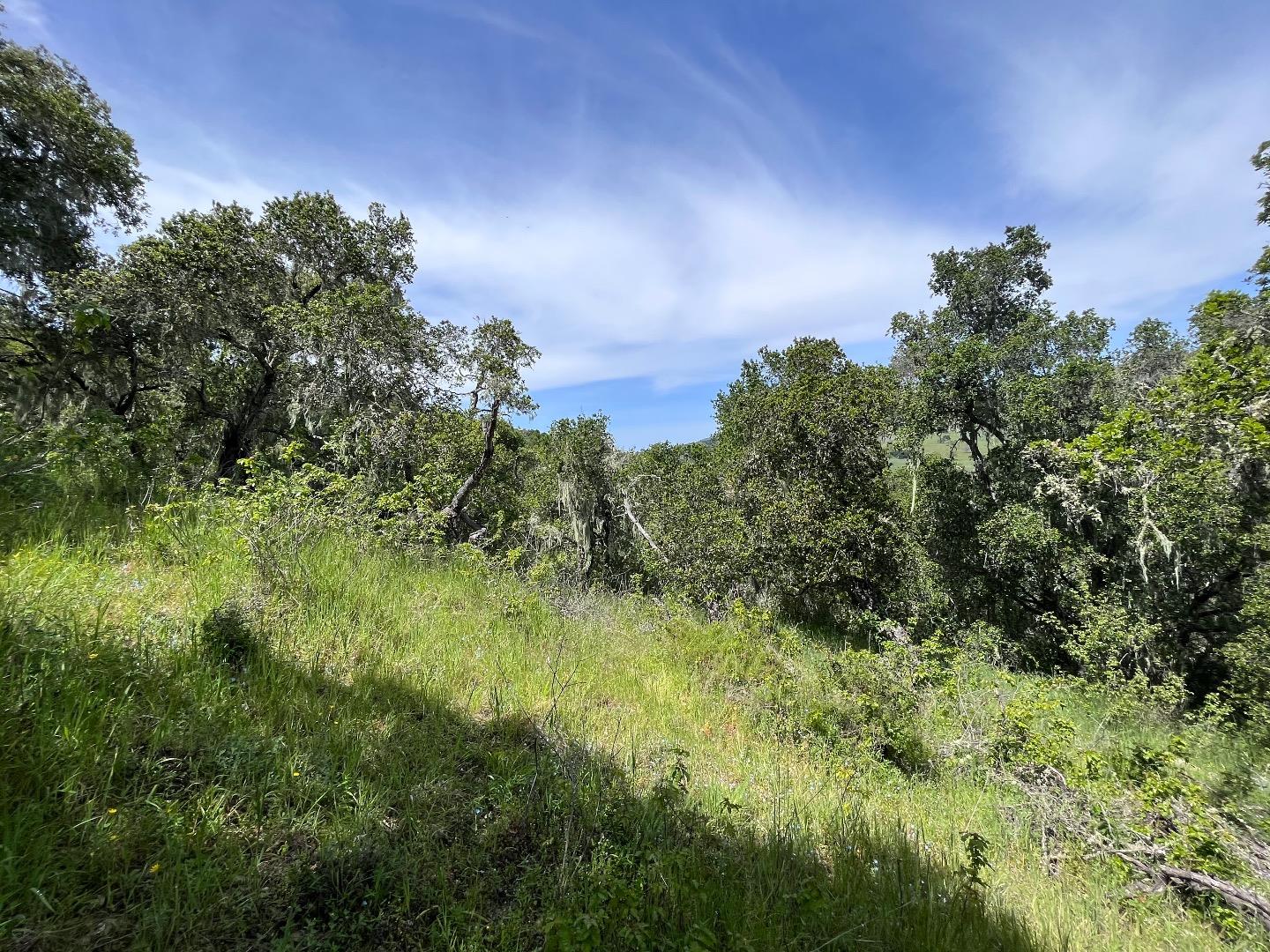 33446 E Carmel Valley RD, CarmelValley, CA 93924, Photo 3