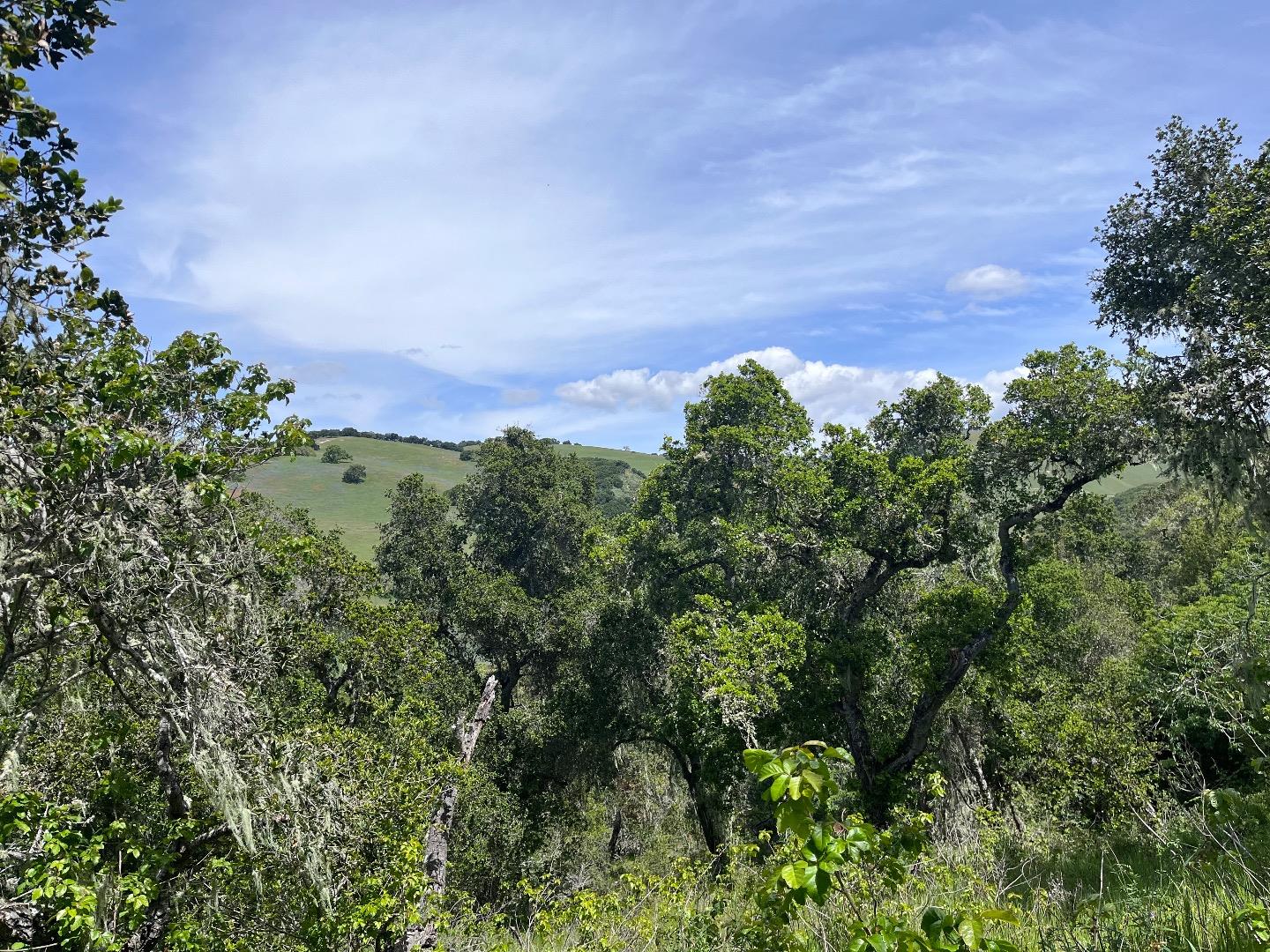 33446 E Carmel Valley RD, CarmelValley, CA 93924, Photo 4