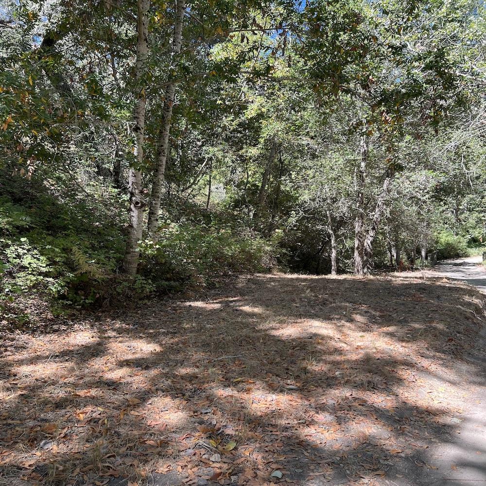 33446 E Carmel Valley RD, CarmelValley, CA 93924, Photo 7