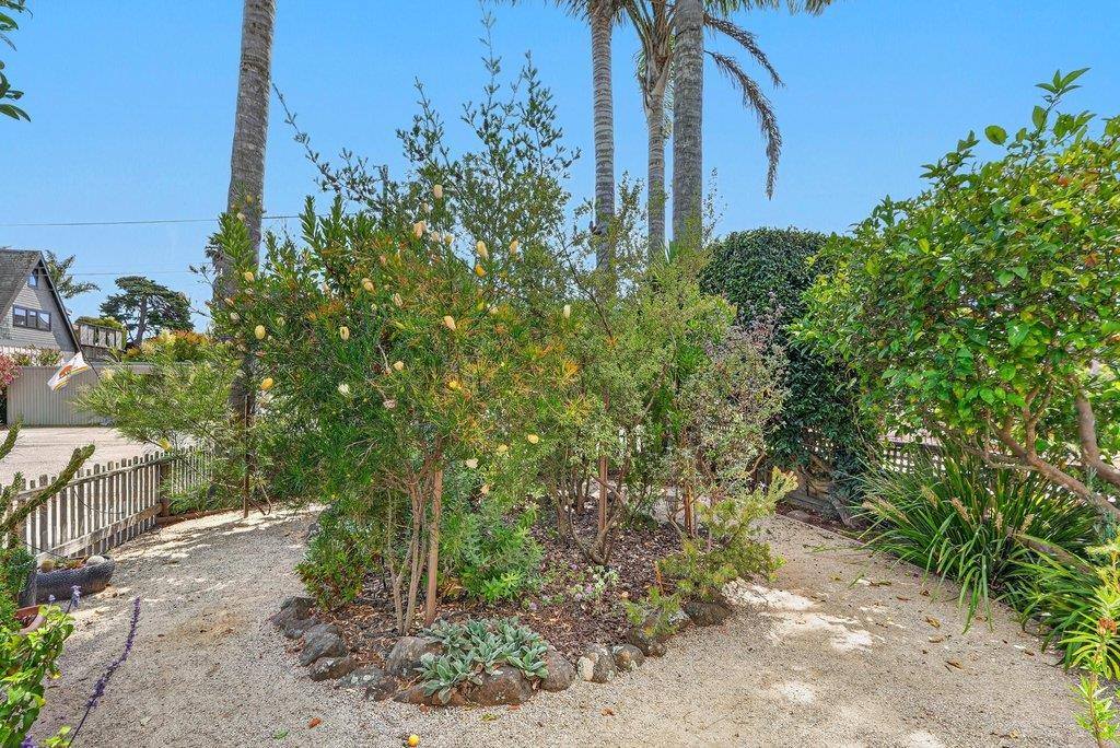 3813 Floral, SantaCruz, CA 95062, Photo 5