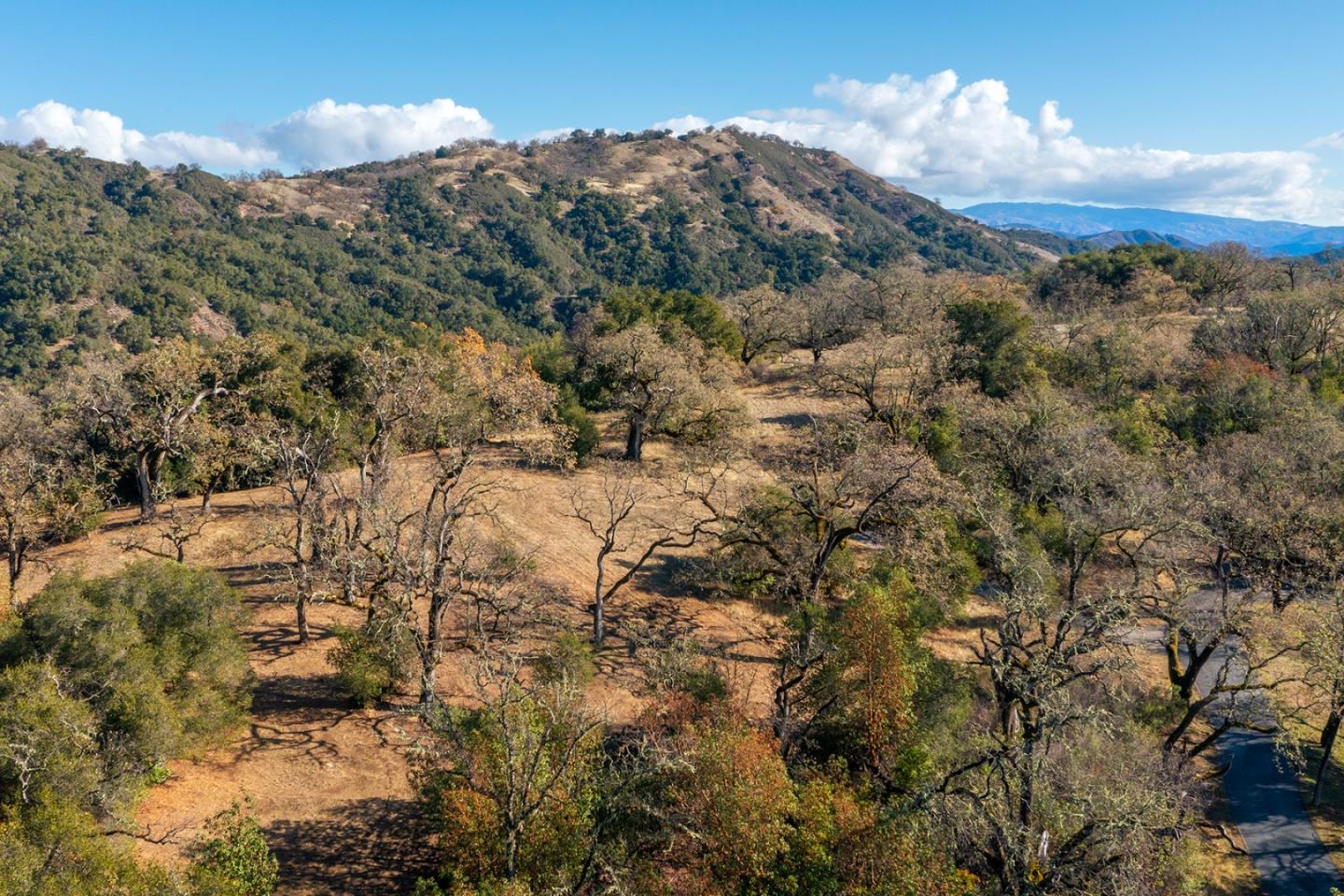 37 Arroyo Sequoia (Lot 113), Carmel, CA 93923, Photo 6