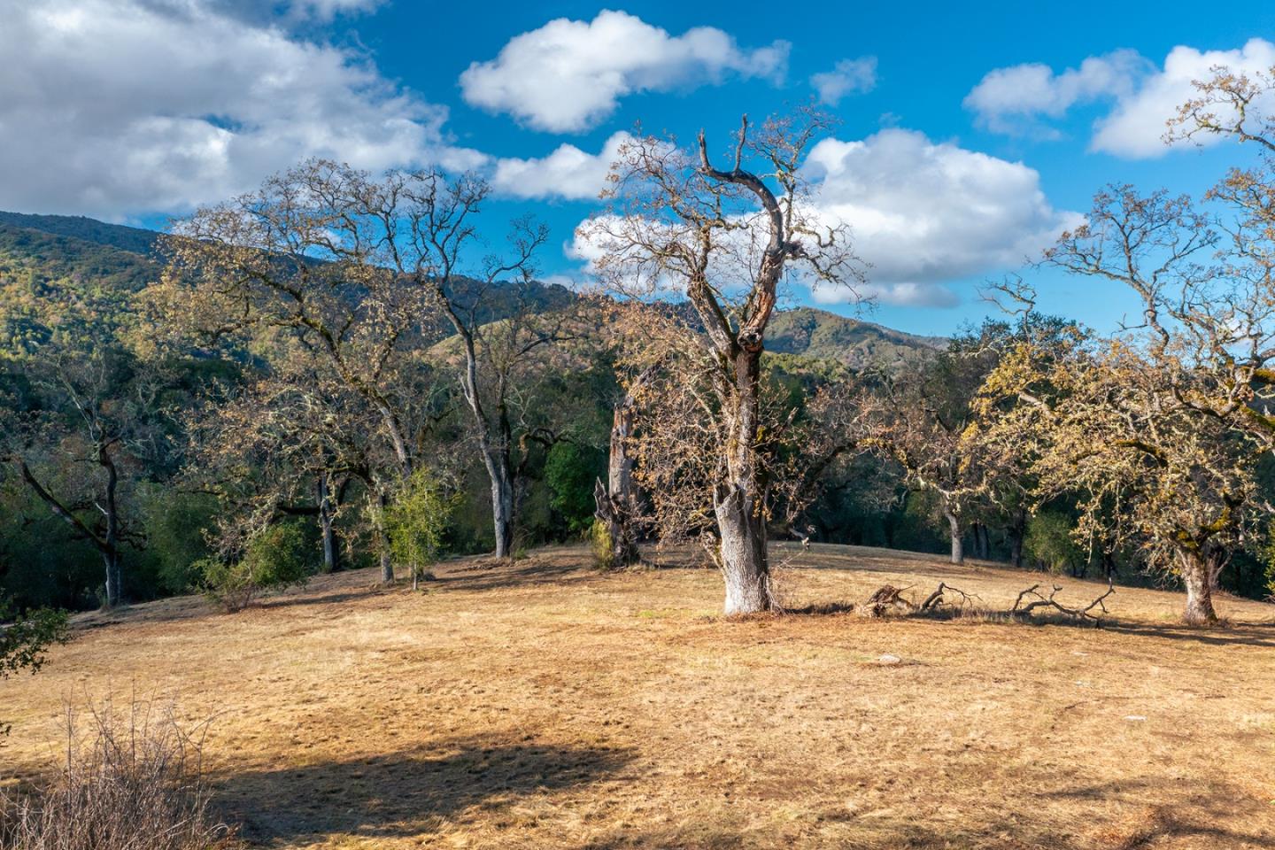 37 Arroyo Sequoia (Lot 113), Carmel, CA 93923, Photo 7