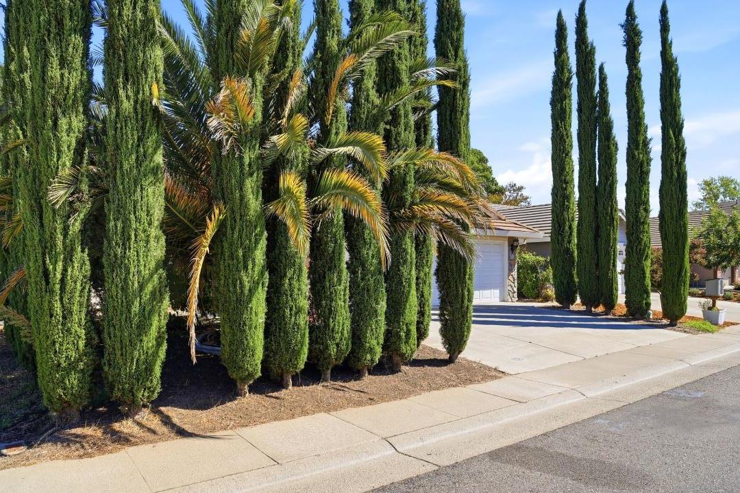 8947 Giant Panda DR, Sacramento, CA 95829, Photo 3