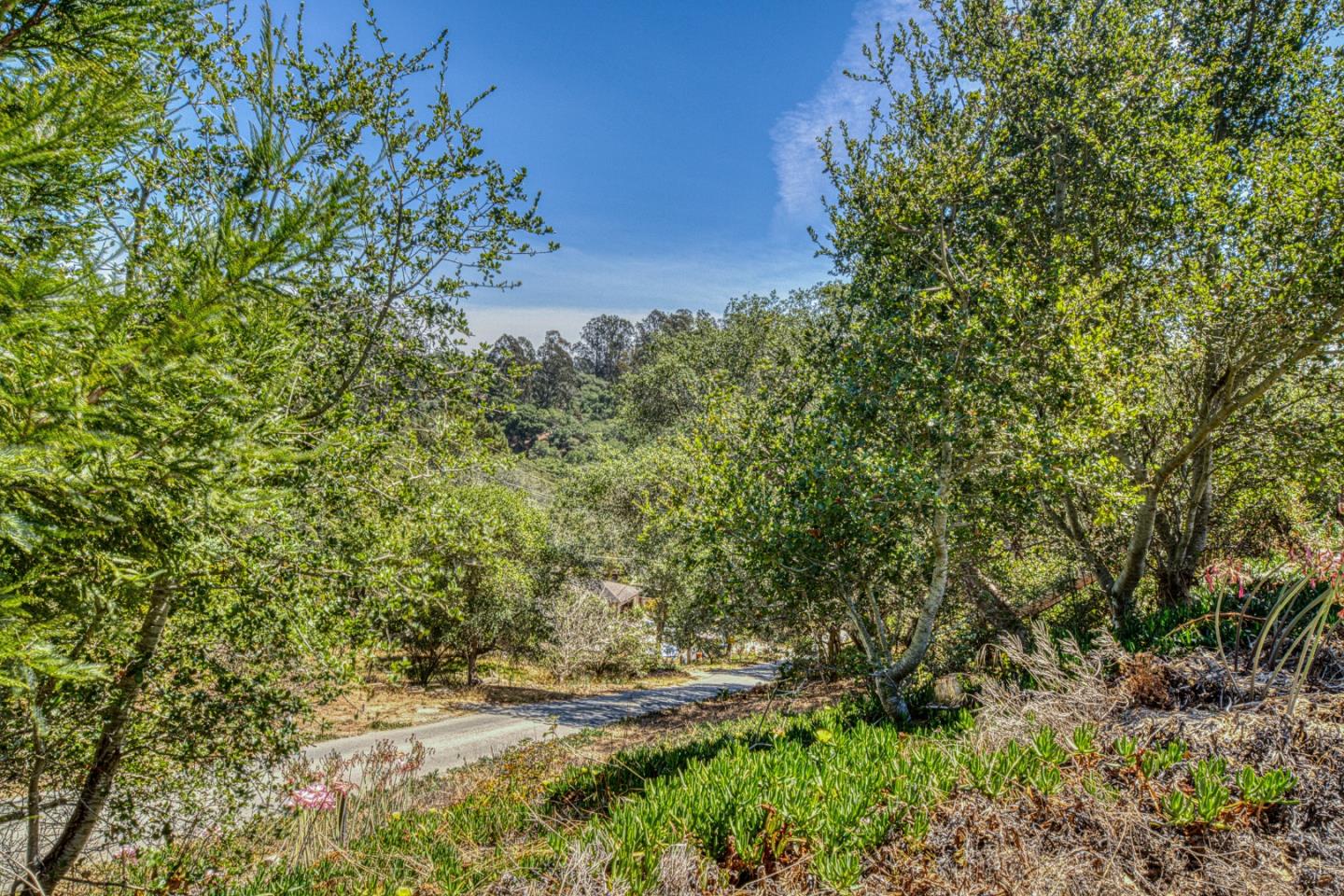 665 Paradise Rd # B, Elkhorn, CA 93907 photo 26