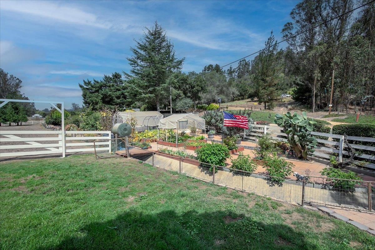 800 Lewis RD, RoyalOaks, CA 95076, Photo 3