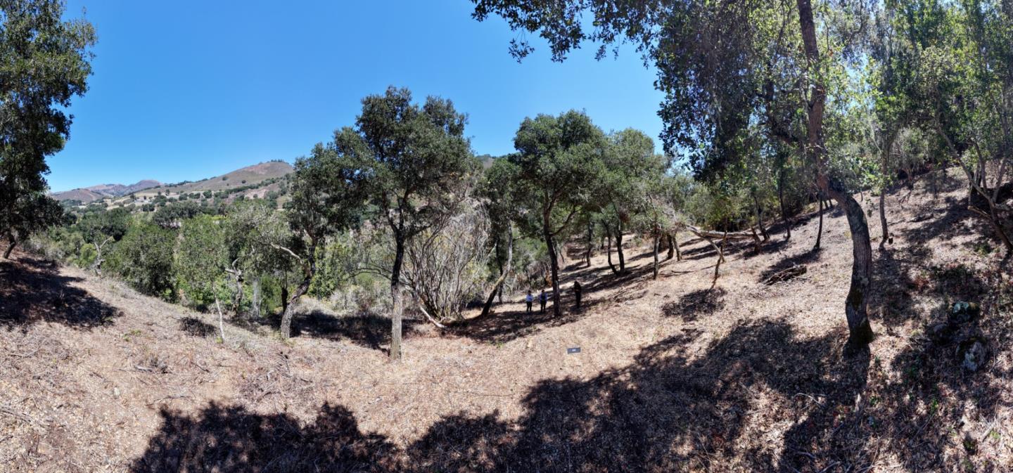 13 Rancho El Robledo, CarmelValley, CA 93924, Photo 4