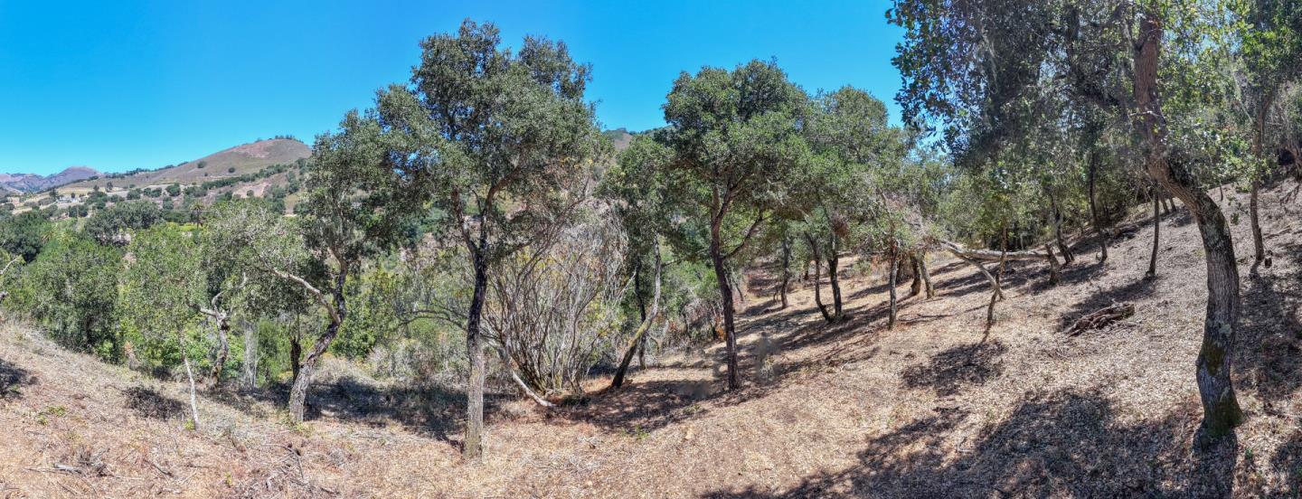 13 Rancho El Robledo, CarmelValley, CA 93924, Photo 5