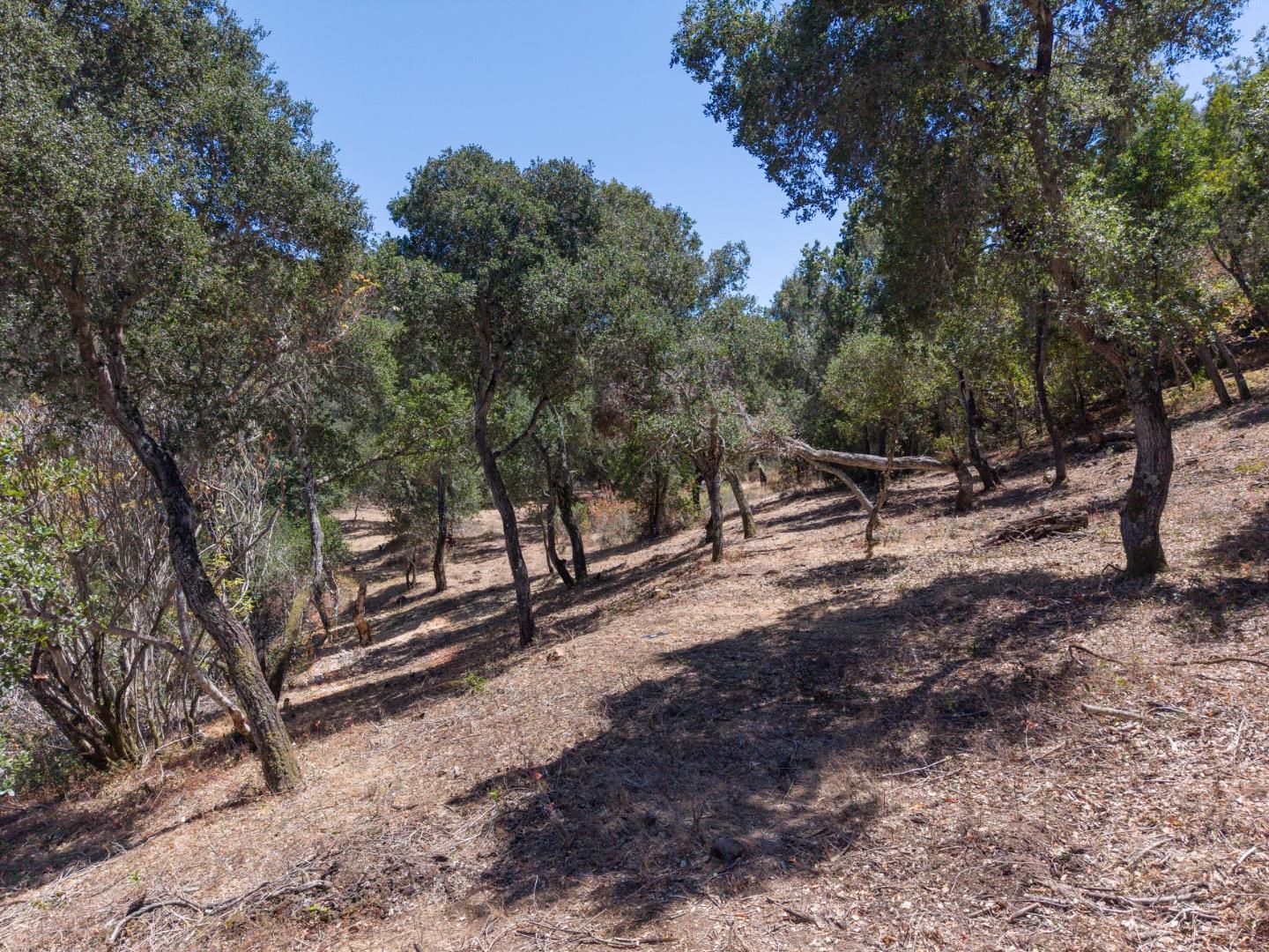 13 Rancho El Robledo, CarmelValley, CA 93924, Photo 6