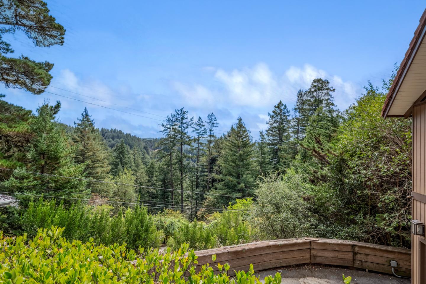 115 Forest View RD, Woodside, CA 94062, Photo 5
