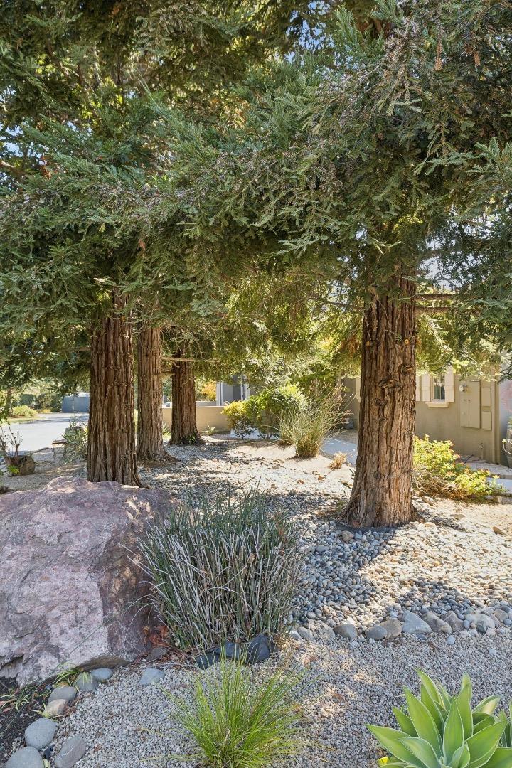 740 California AVE, SanMartin, CA 95046, Photo 6