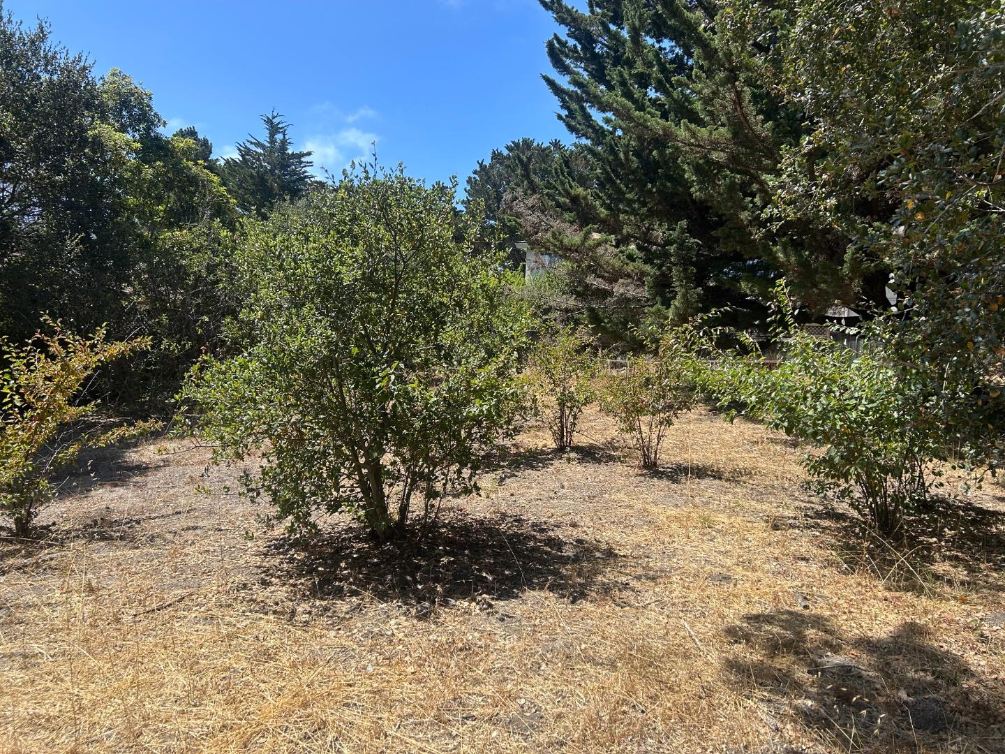 26046 Highway 1, Carmel, CA 93923, Photo 3