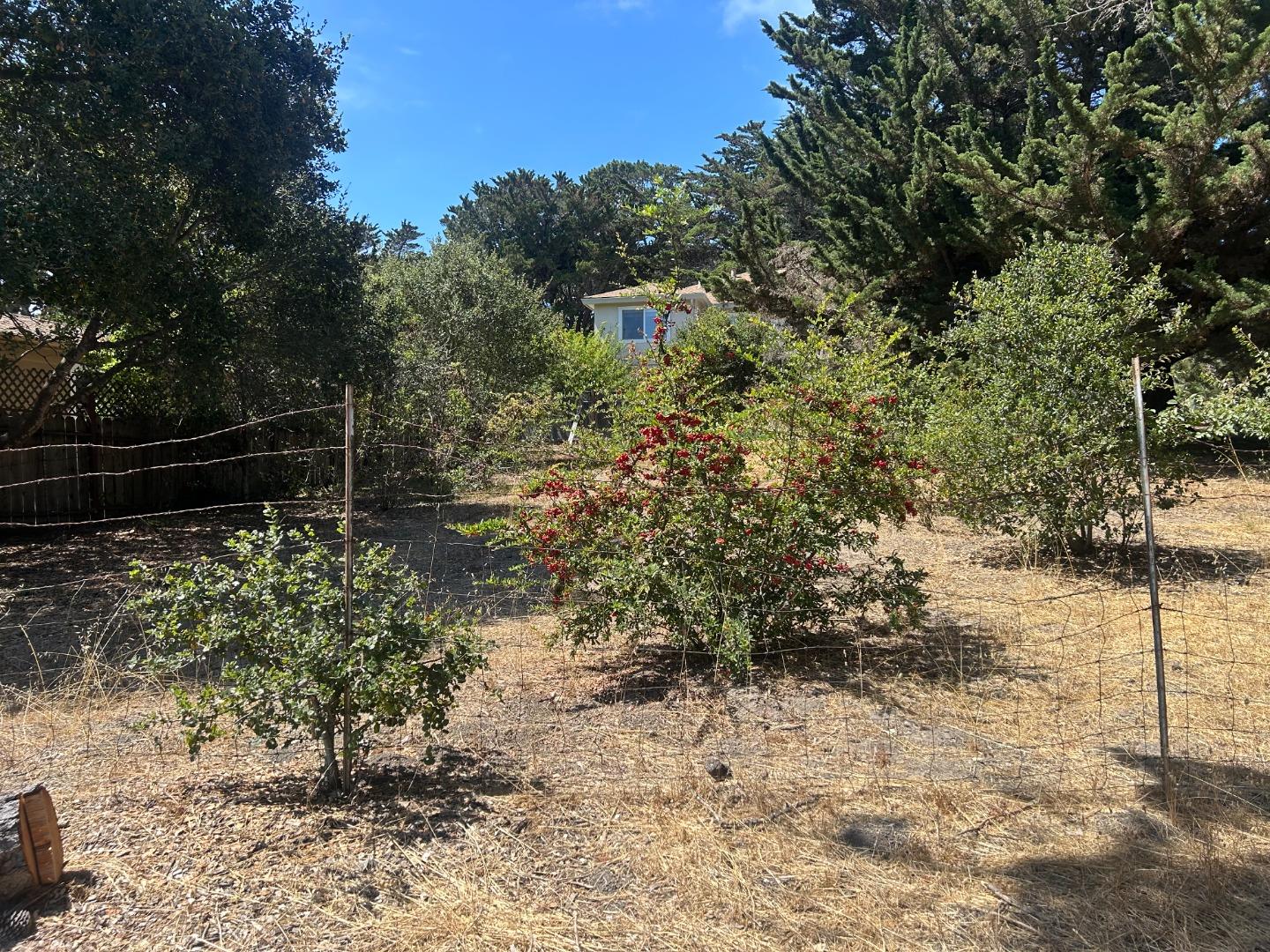 26046 Highway 1, Carmel, CA 93923, Photo 5