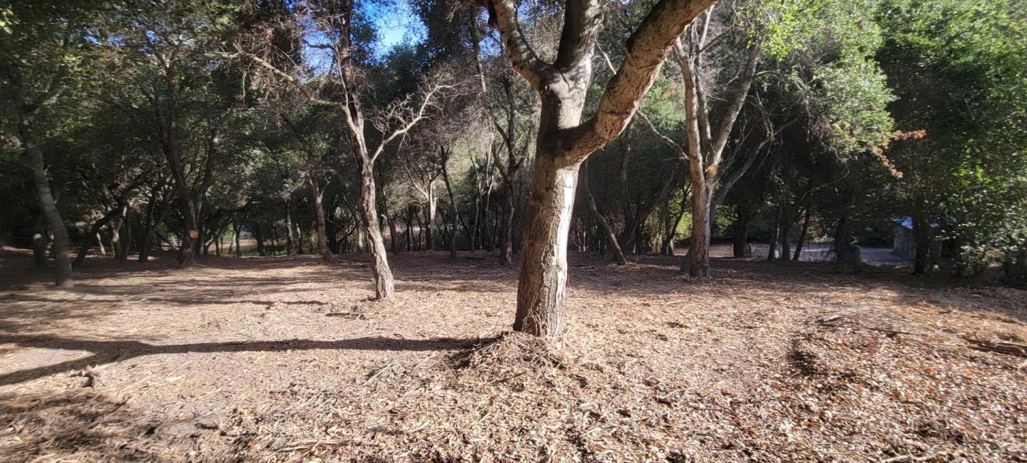 Mesa Del Toro RD, Salinas, CA 93908, Photo 6