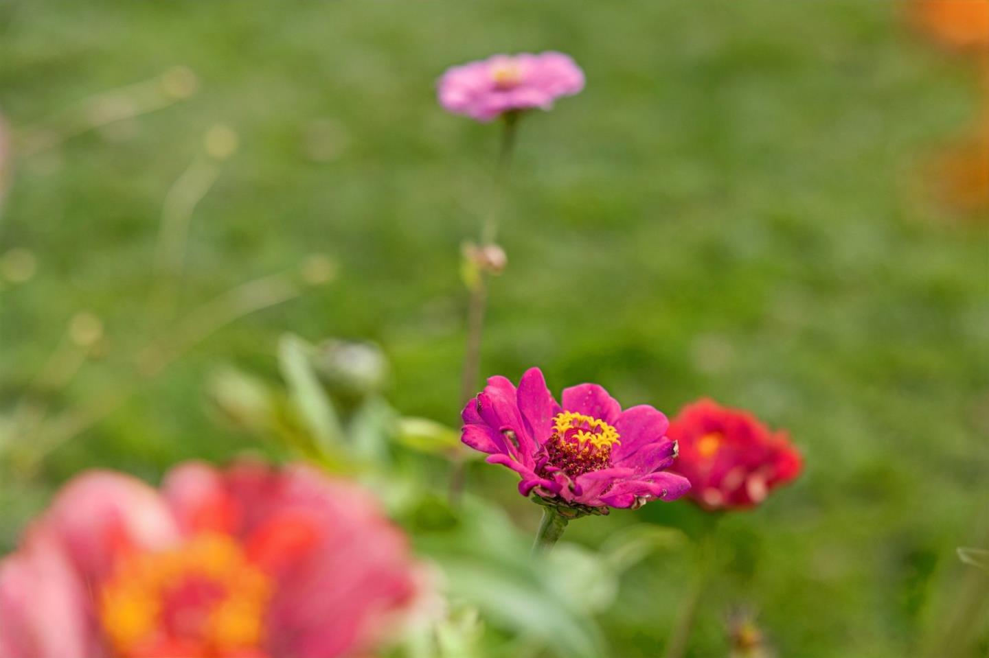 Photo 45
