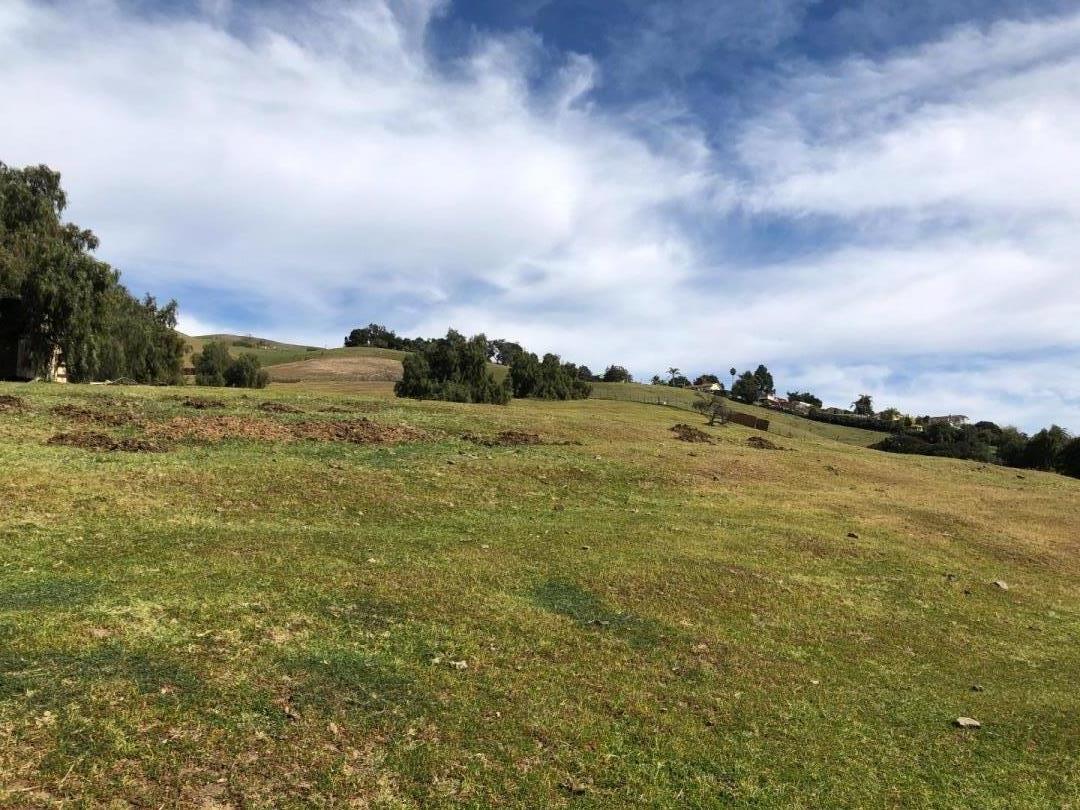 Mt Pleasant Rd, SanJose, CA 95148, Photo 3