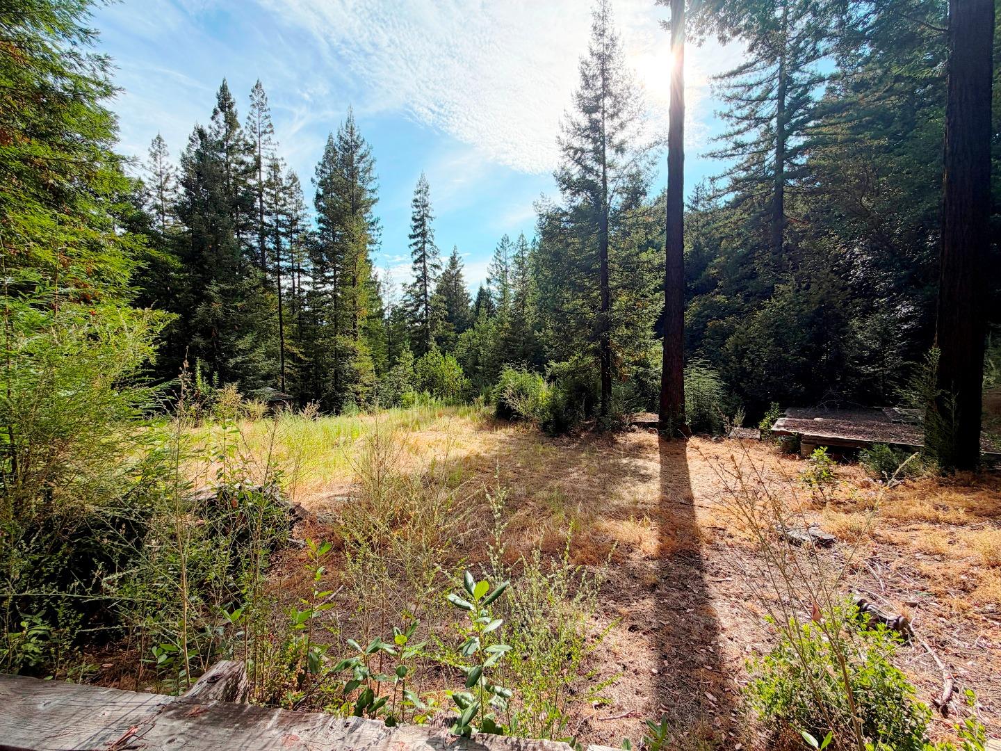 320 Timber Cove, BoulderCreek, CA 95006, Photo 5