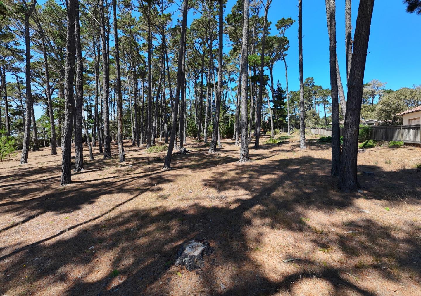 4045 Sunridge Rd, PebbleBeach, CA 93953, Photo 6