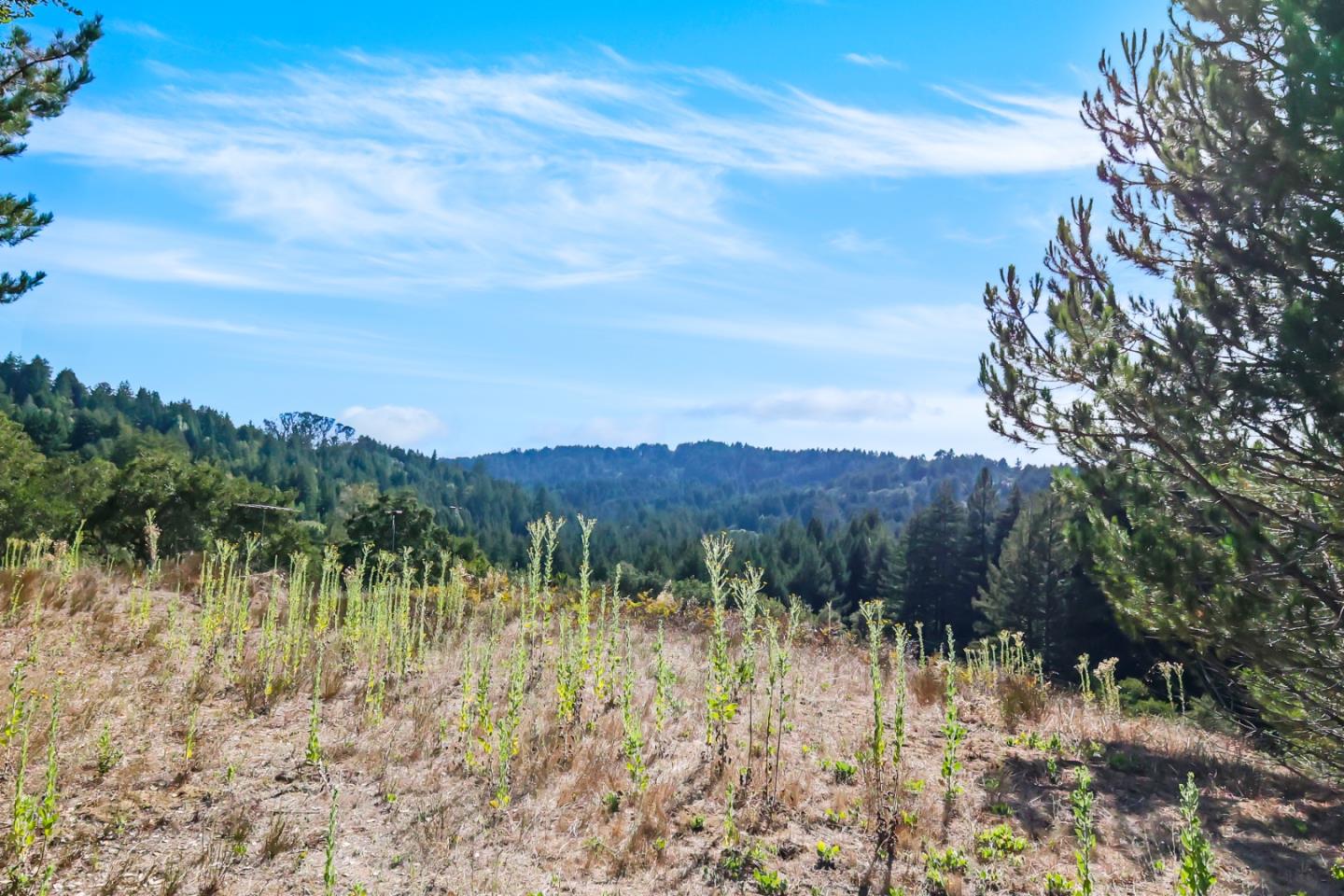 Jonathan, ScottsValley, CA 95066, Photo 3