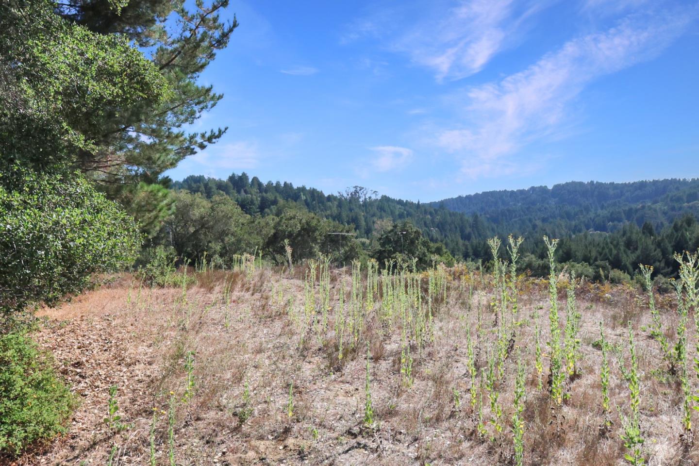 Jonathan, ScottsValley, CA 95066, Photo 4