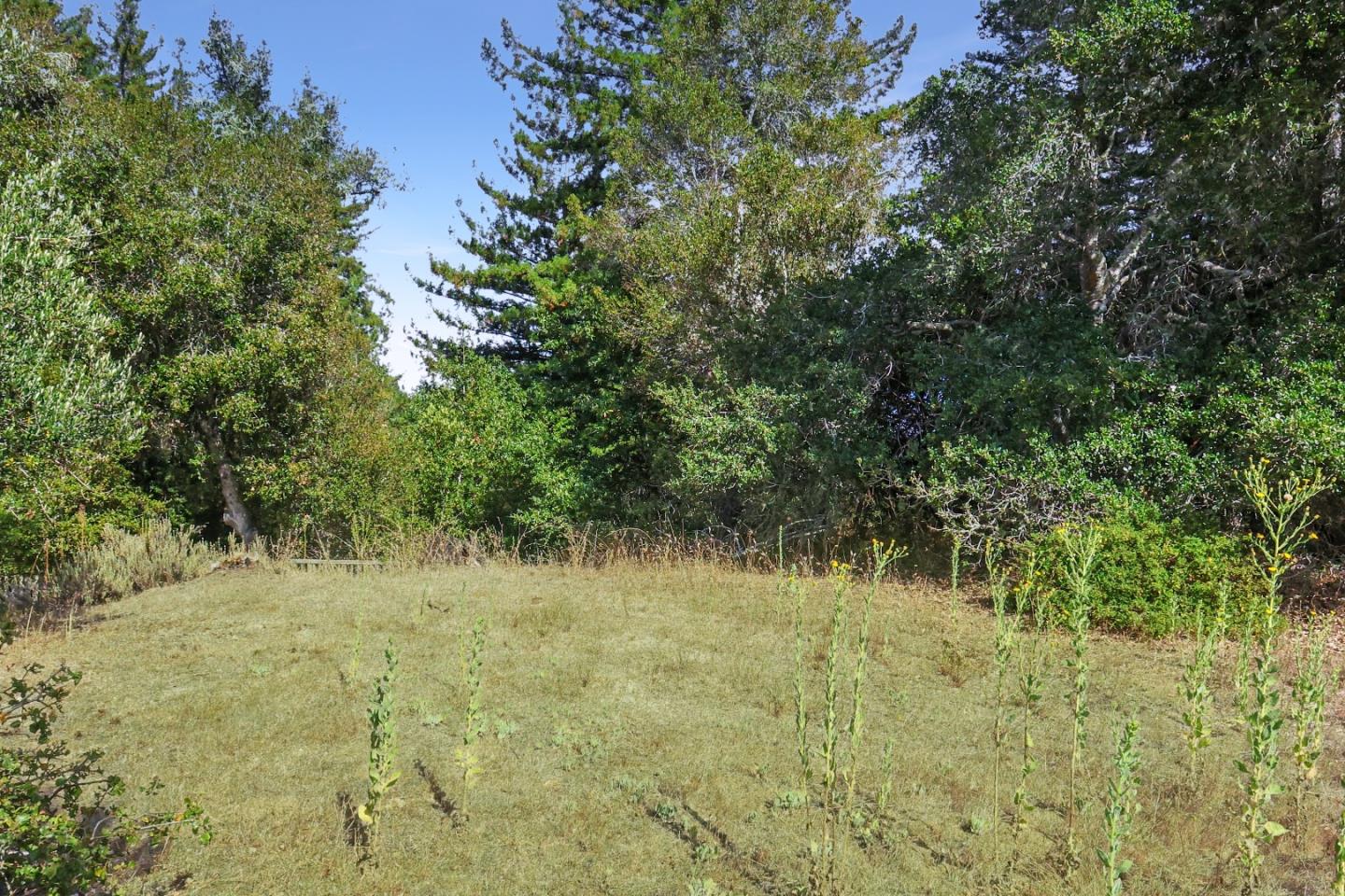 Jonathan, ScottsValley, CA 95066, Photo 5