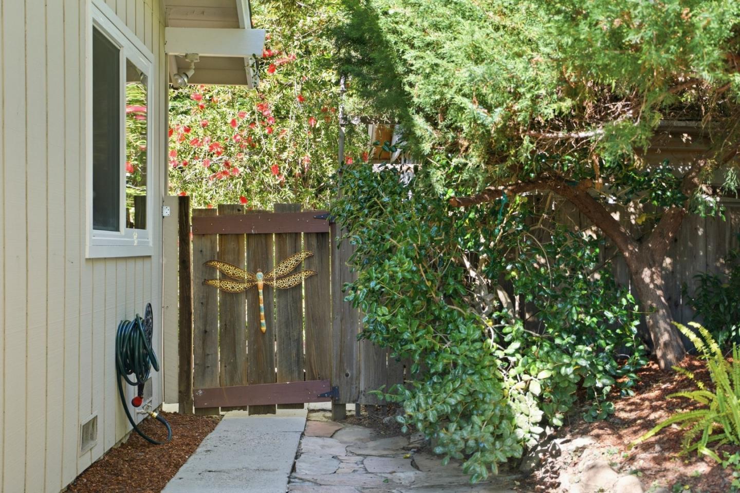 Photo 45