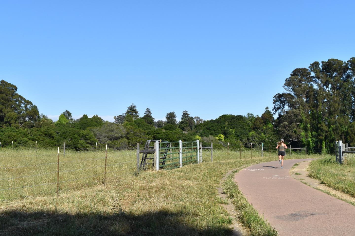 574 Spinnaker Ct, Live Oak, CA 95062 photo 36