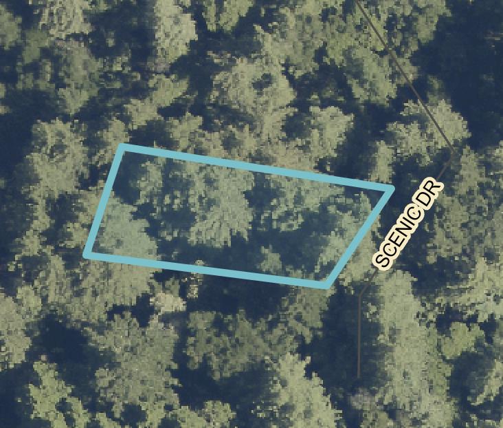 Scenic, BoulderCreek, CA 95006, Photo 2