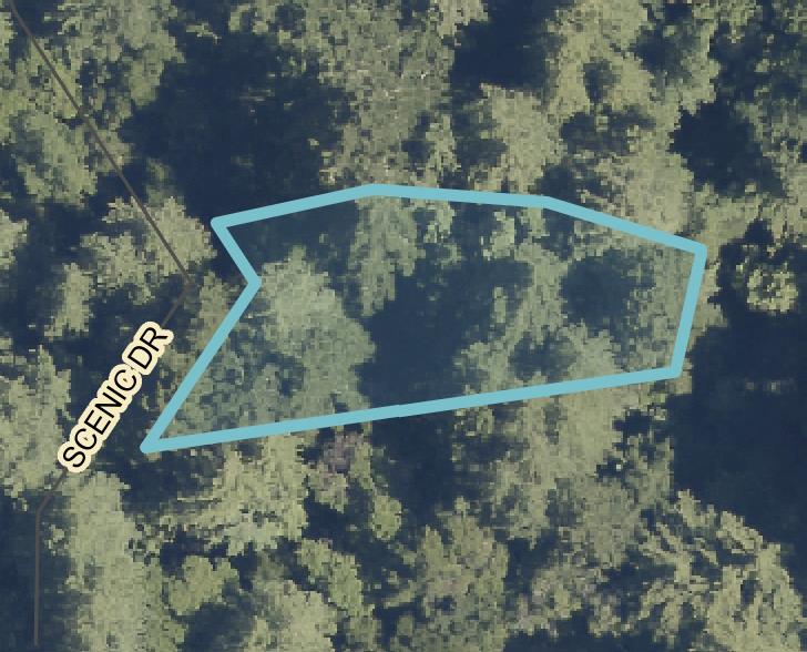 Scenic, BoulderCreek, CA 95006, Photo 4