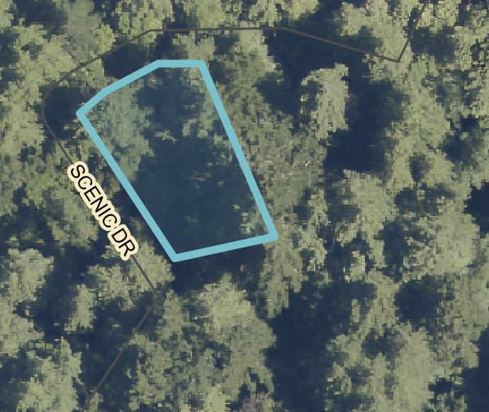 Scenic, BoulderCreek, CA 95006, Photo 5