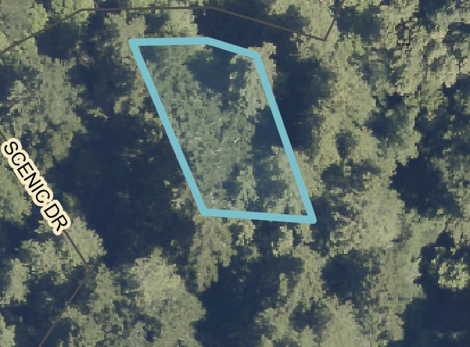 Scenic, BoulderCreek, CA 95006, Photo 6