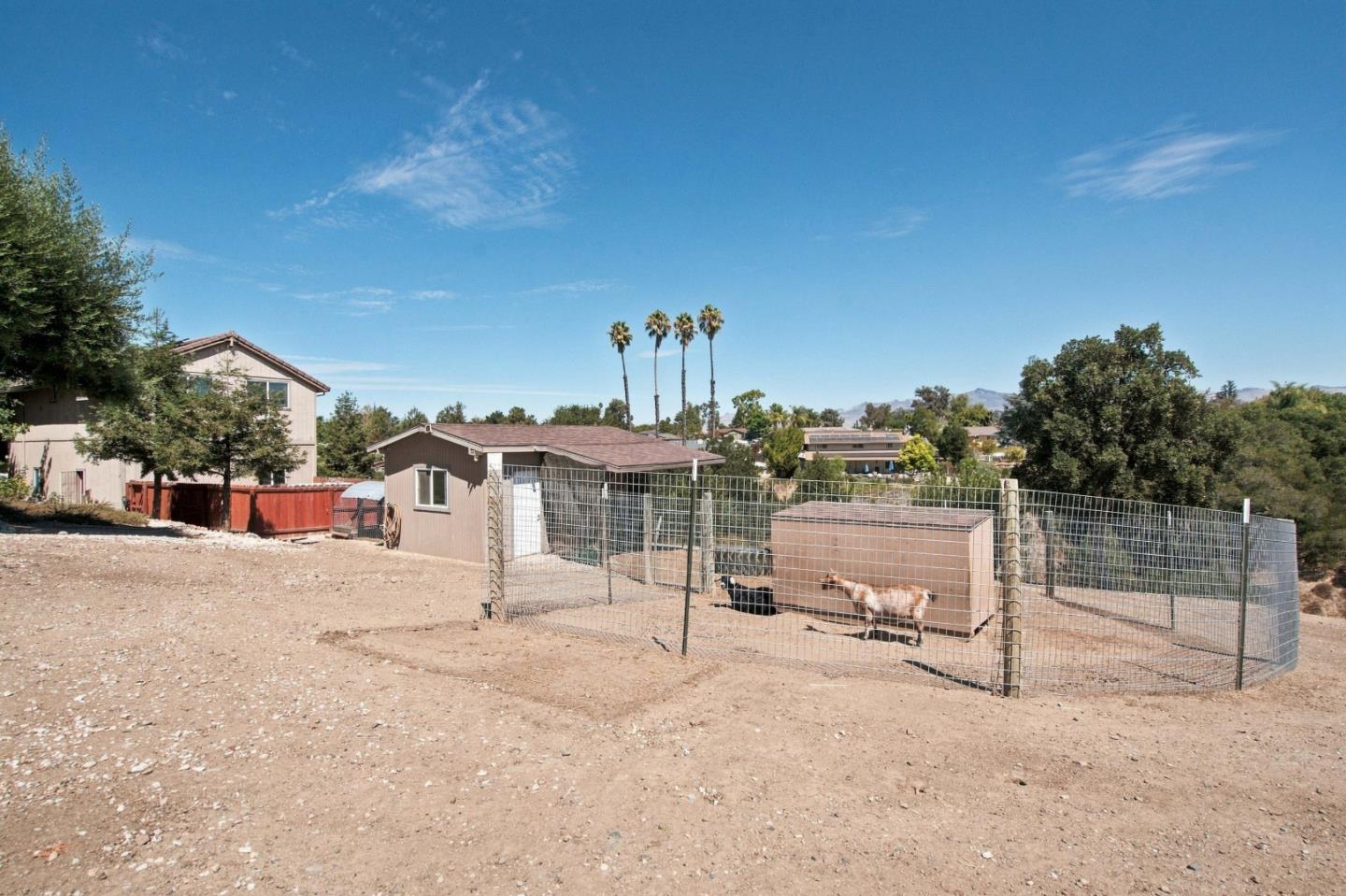 603 Tyler Trl, Ridgemark, CA 95023 photo 117