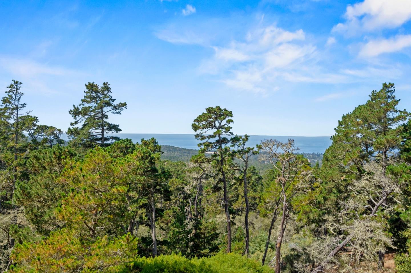 250 Forest Ridge Rd Unit 42, Monterey, CA 93940 photo 2