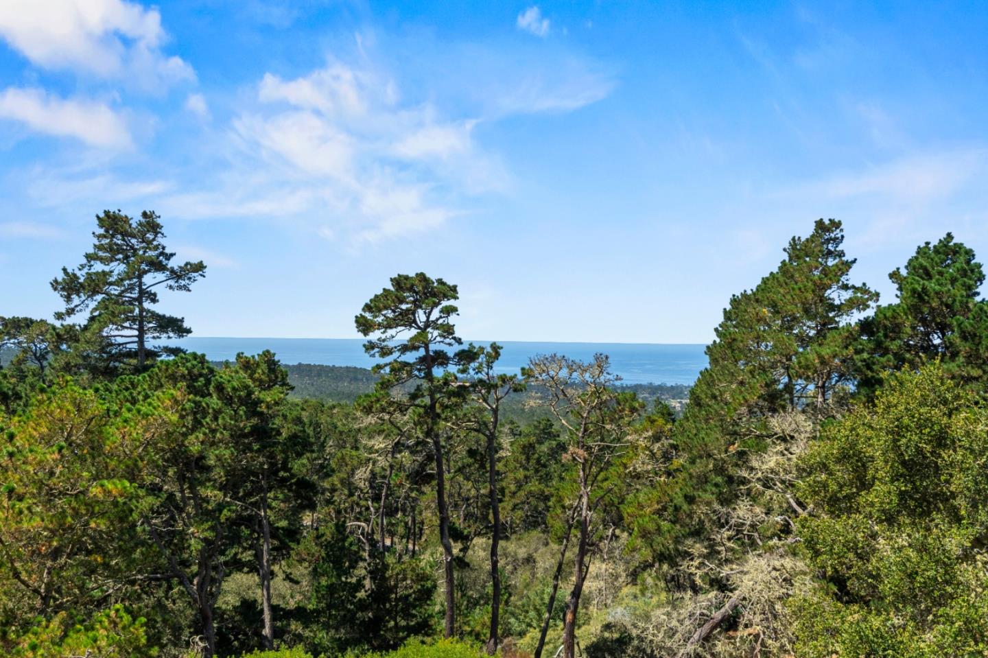 250 Forest Ridge Rd Unit 42, Monterey, CA 93940 photo 39