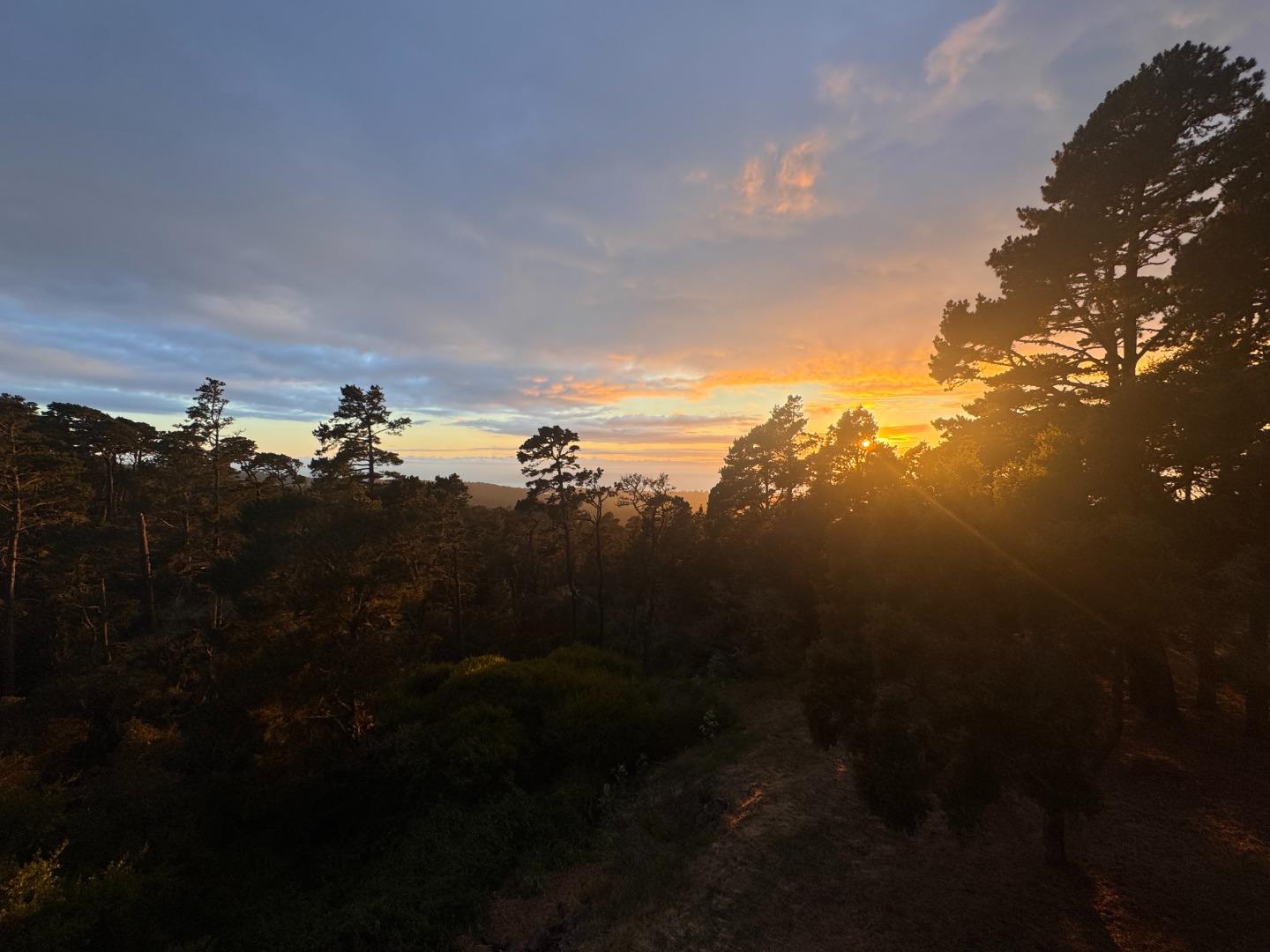 250 Forest Ridge Rd Unit 42, Monterey, CA 93940 photo 44