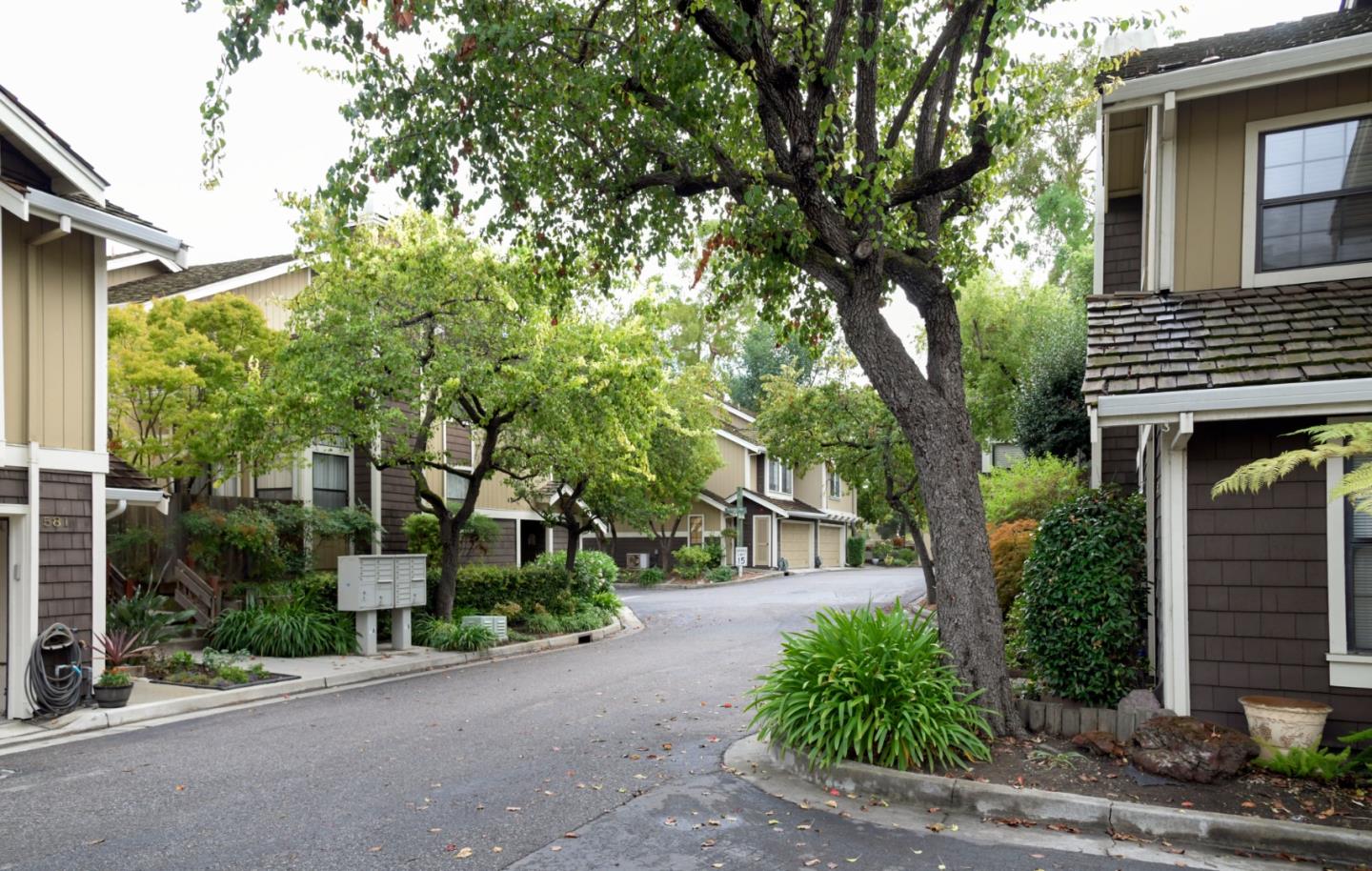 584 Valeri Ruth CT, SantaClara 95050