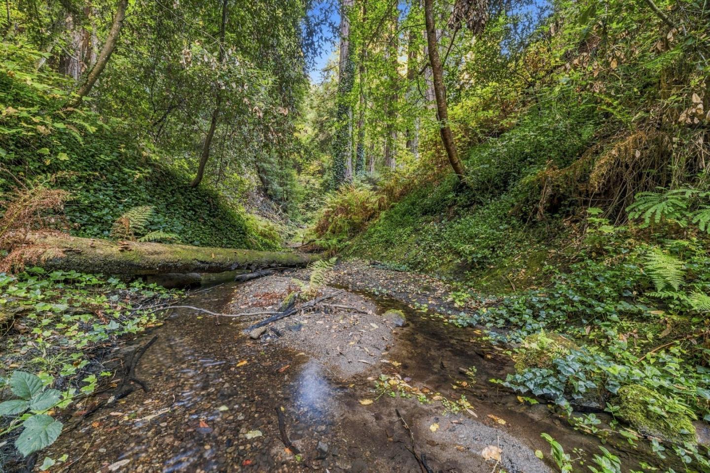 01 Pringle, Soquel, CA 95073, Photo 2