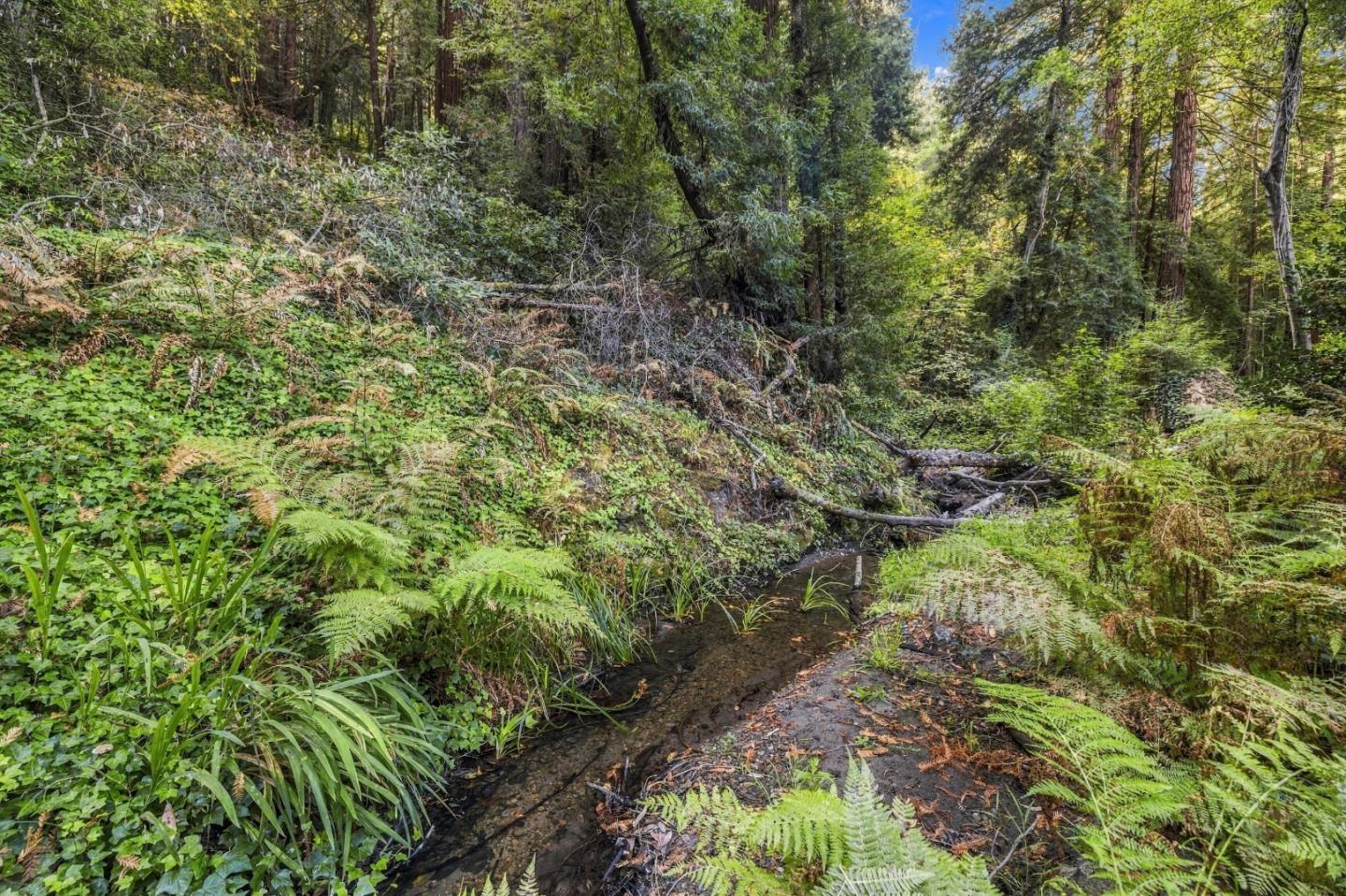 01 Pringle, Soquel, CA 95073, Photo 4