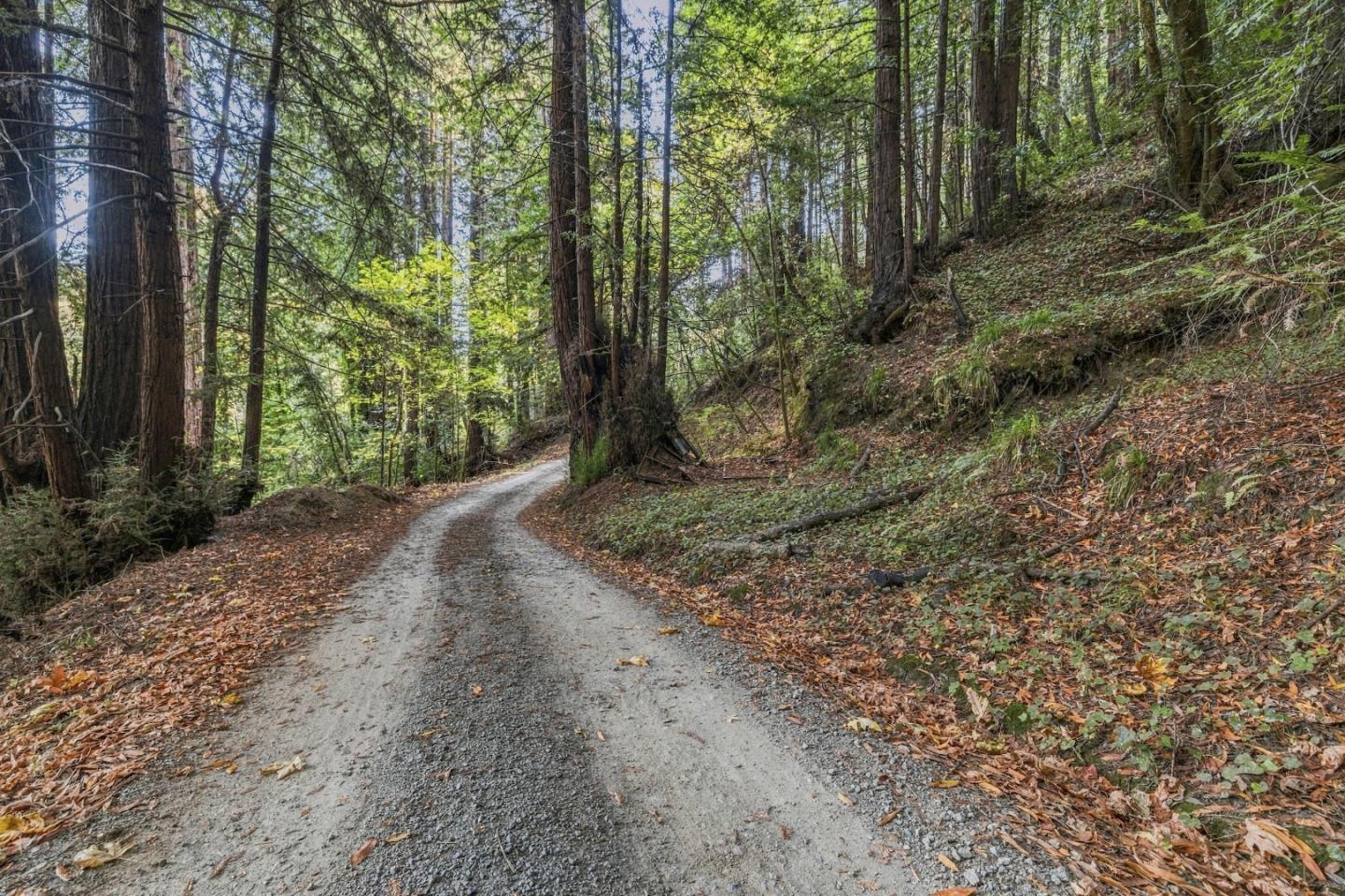 01 Pringle, Soquel, CA 95073, Photo 6