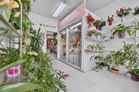 915 E Julian St, San Jose — 13