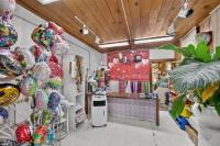 915 E Julian St, San Jose — 21