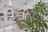 915 E Julian St, San Jose — 25