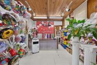915 E Julian St, San Jose — 33